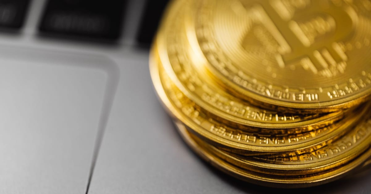 Bitcoin Supply Ownership Misconceptions Create Investor Opportunity