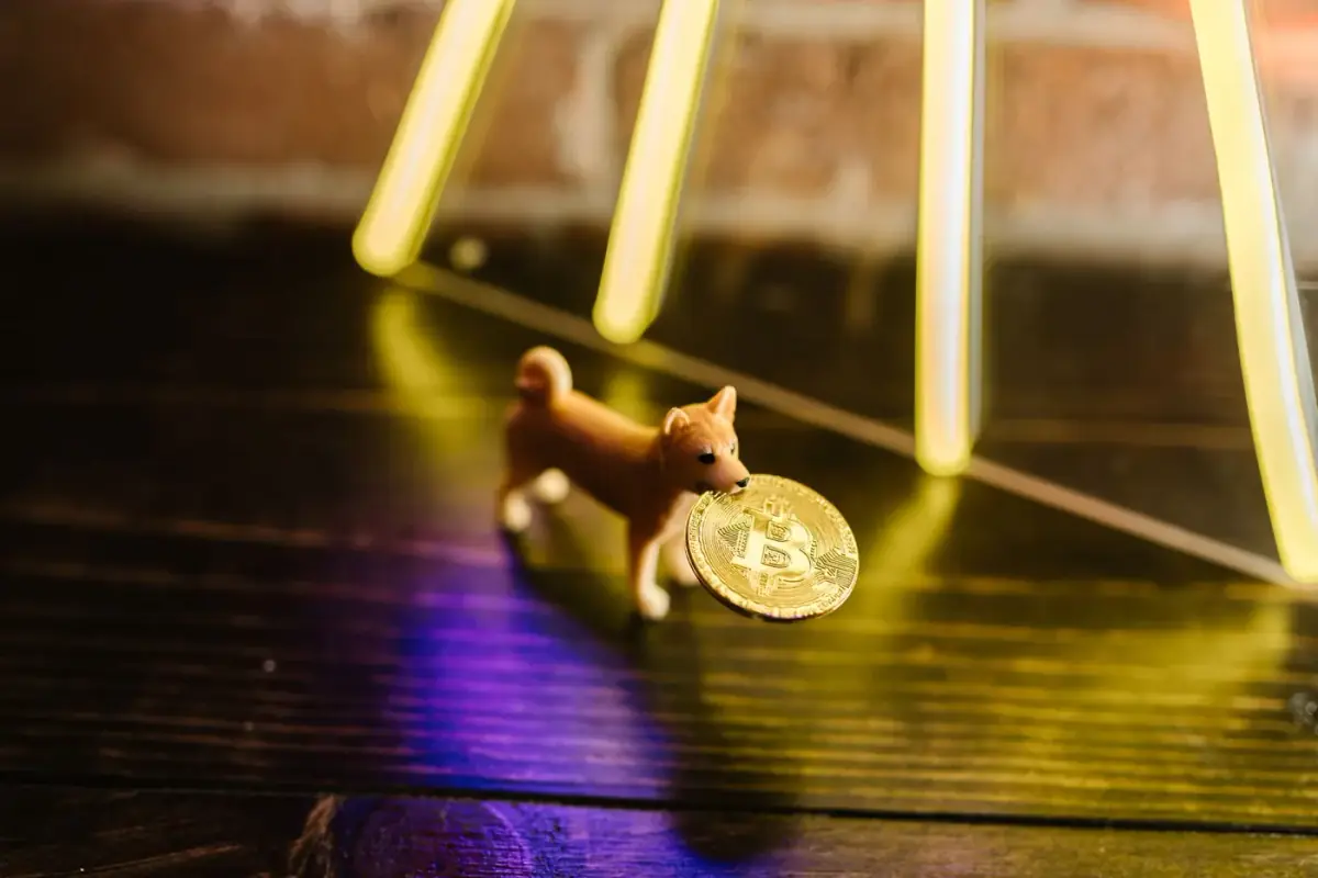 Investing in Shiba Inu’s 36% Surge Driven by South Korean Traders