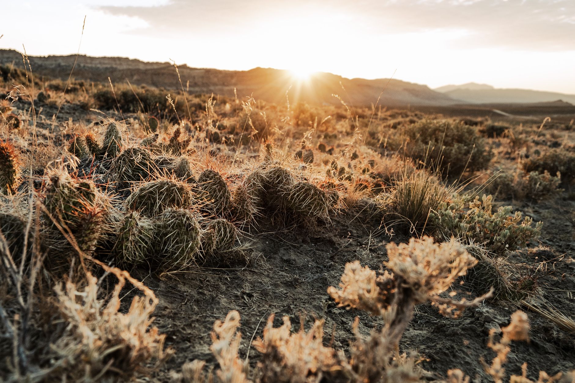 Tribal Conservation Model Creates Economic & Environmental Opportunities in Pacific Northwest