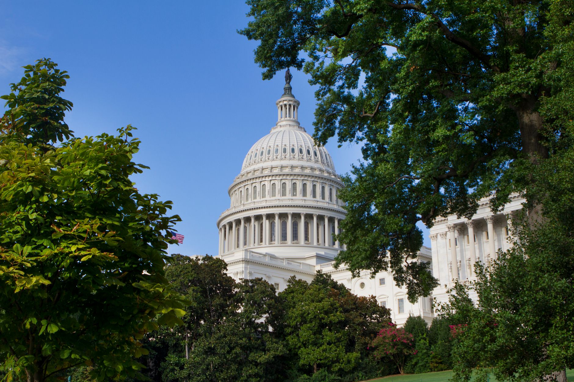 Trump Administration Cuts Federal Advisory Boards, Creating New Opportunities for Private Sector Engagement